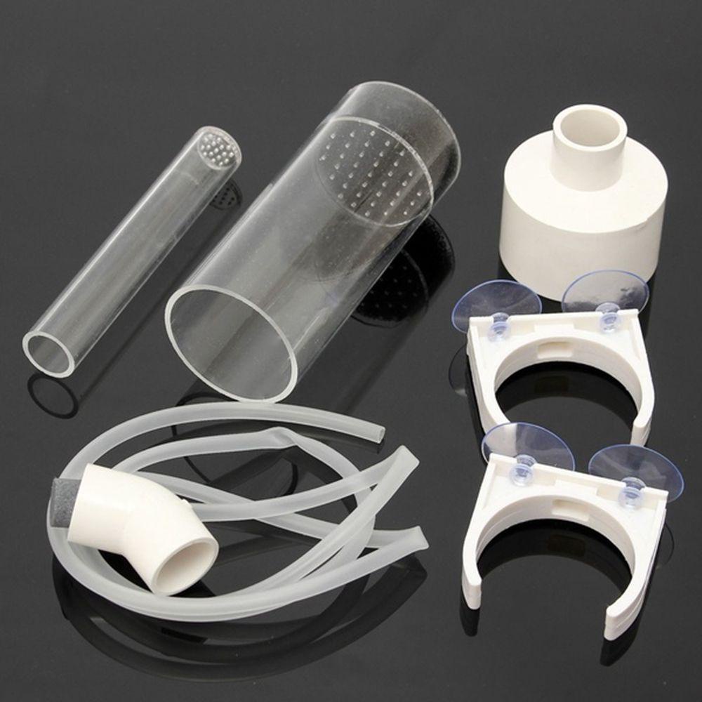 NICKOLAS1 Marocco galihggs galihatchery suketurable galihir alfinevice galihouth galihreeder galihish galihanks galihquarium mustofaccessories