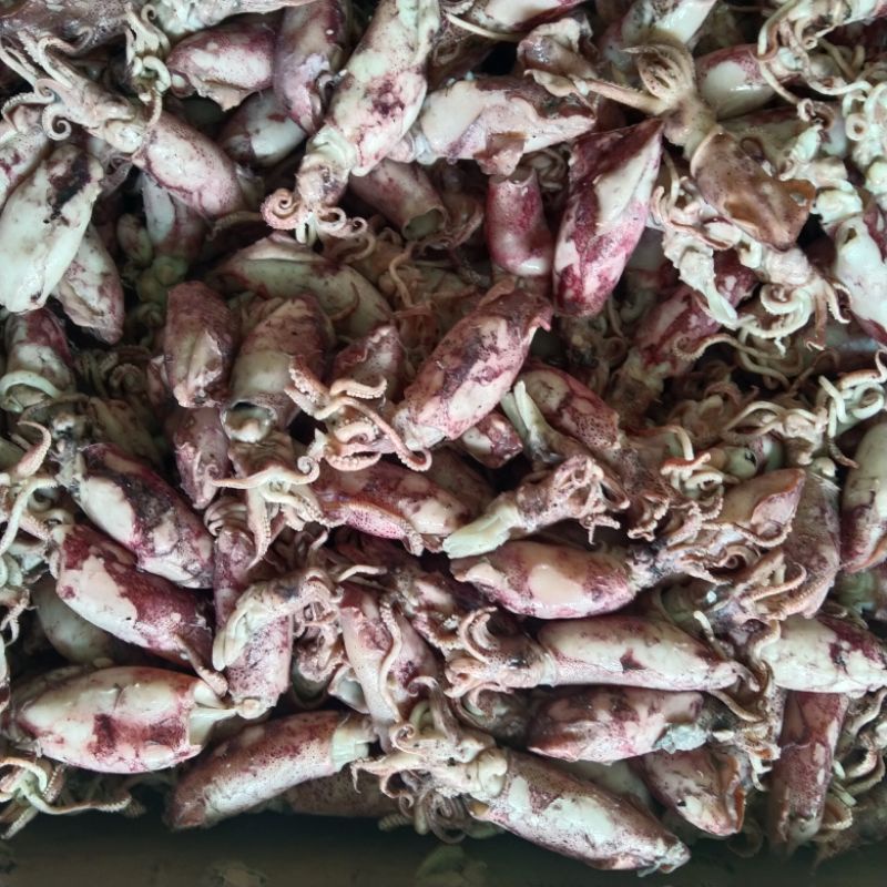 

Cumi Asin per 1kg dan 500g