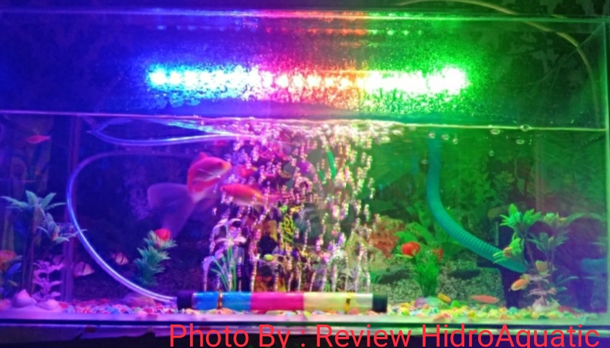 Lampu Aquarium 50cm 3 Warna RGB (red green blue) / Lampu Akuarium / Lampu celup / Lampu Led