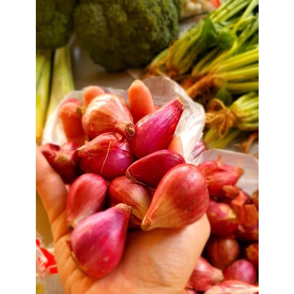 

bawang merah super brebes 1 kg