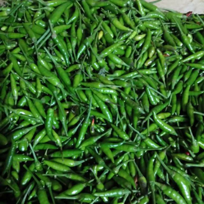 Cabe Rawit Ijo Kecil (250g)