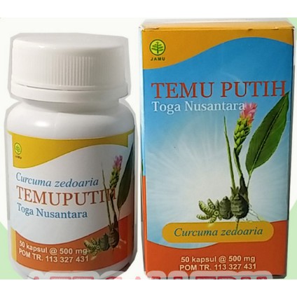

Jual TEMU PUTIH toga NUSANTARA New