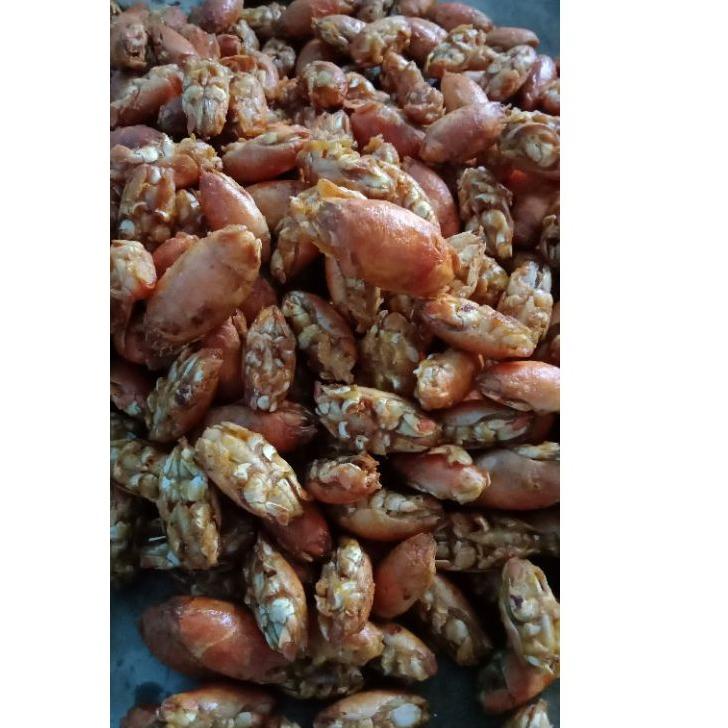 

「HEMAT BESAR!」 [P-IRT] Krispi Undur-Undur Laut 40 gram Beli 10 Gratis 1 (Khas Pantai Selatan)