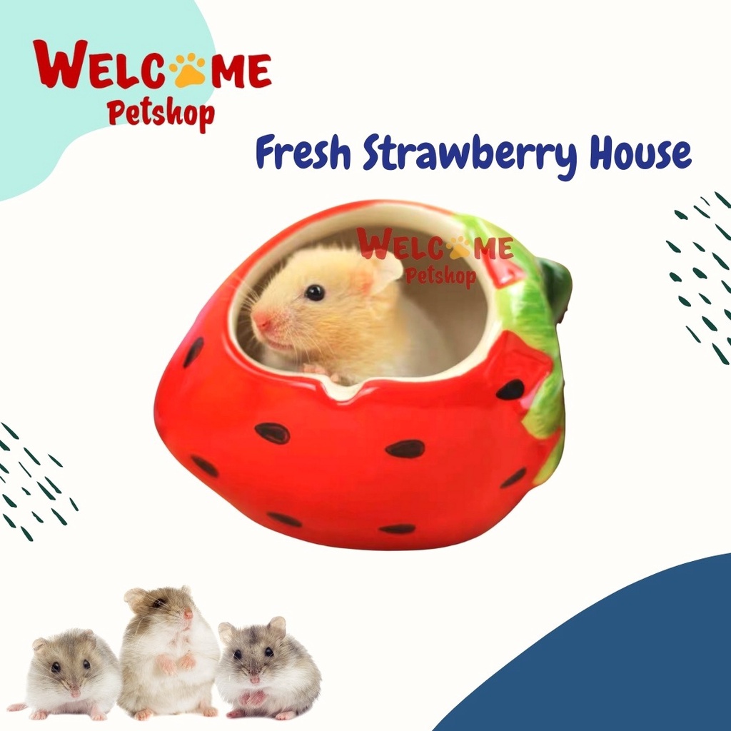 Fresh Strawberry House / Rumah Hamster / Kandang Hamster