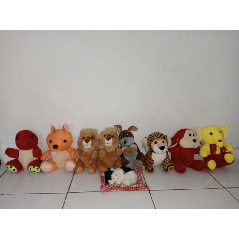 boneka Timezone