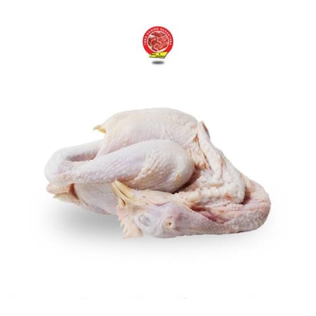 

AYAM PEJANTAN 0.7 (REQ POTONG DI NOTES)