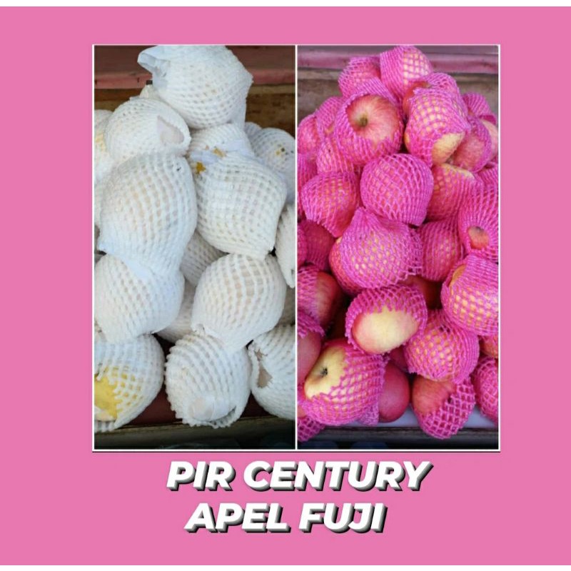 

PIR CENTURY 20.000/KG - APEL FUJI 22.000/KG