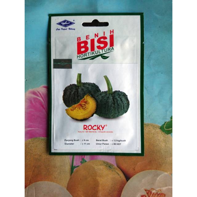 Benih Bibit Labu Kuning Kukit Hitam ROCKY SP
