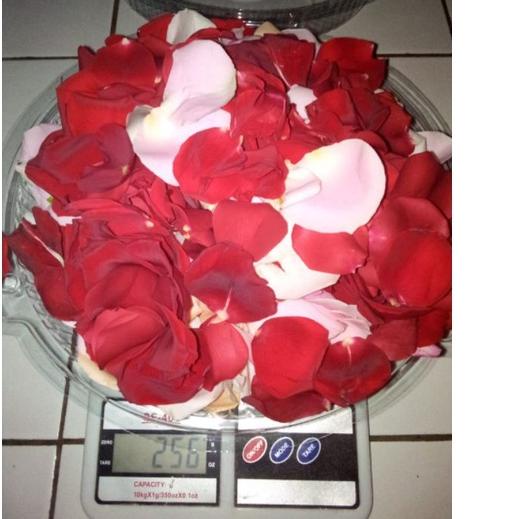 kelopak bunga mawar asli segar /rose petal wangi 600 helai