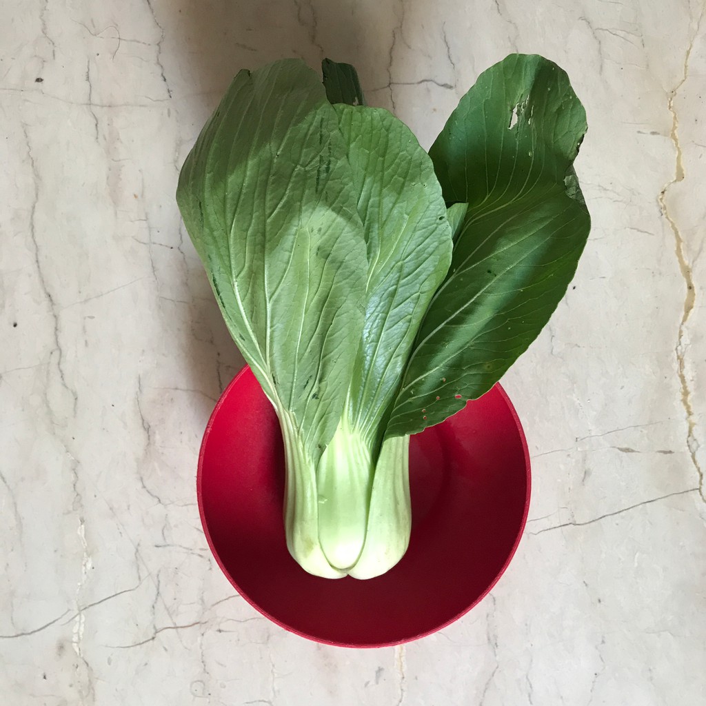 

SAYUR SEGAR PAK CHOY 250GR
