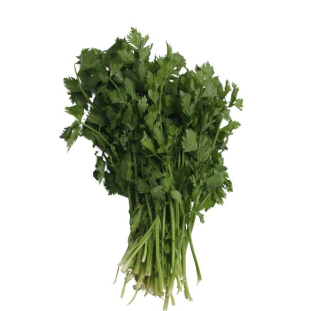 

SELEDRI SEGAR 1KG
