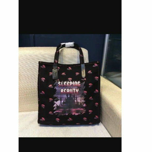 coach disney preloved