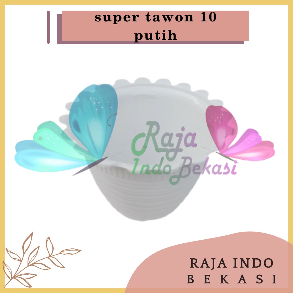 Pot Tawon Dahlia Super Tawon 10 Garden Of Love Pot Tawon Putih Pot Kaktus cactus Mini Minimalis Lucu Murah