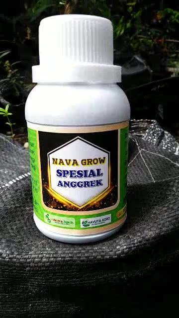 PUPUK ANGGREK TERBAIK PUPUK ANGGREK AGAR CEPAT BERBUNGA PUPUK ANGGREK TERBAIK PUPUK ANGGREK AGAR CEPAT BERBUNGA