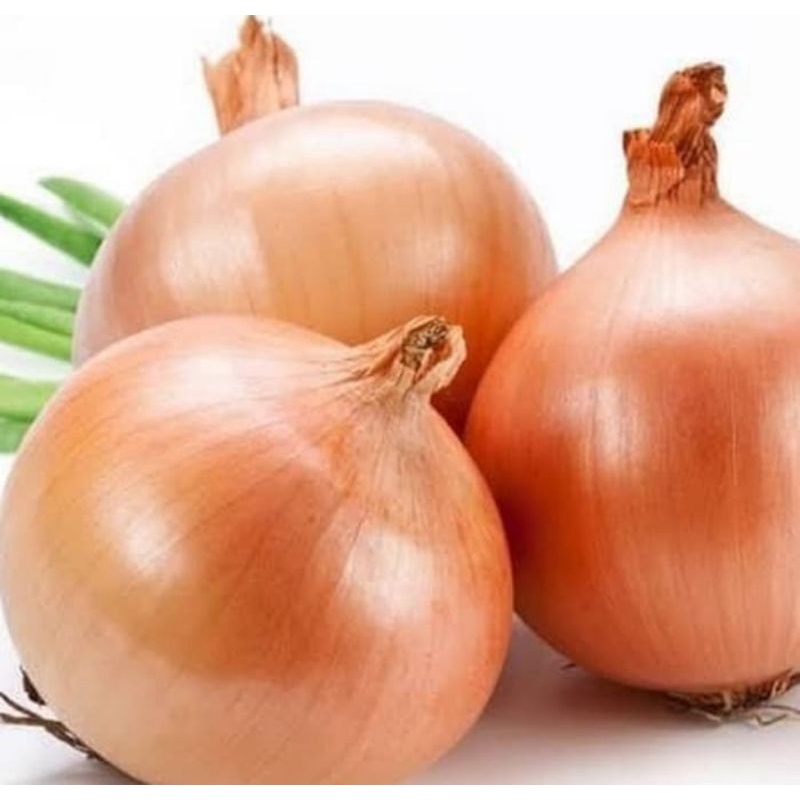 

Bawang Bombay 250 gram