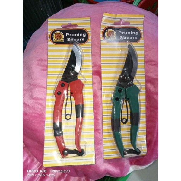 gunting dahan ranting pohon bonsai