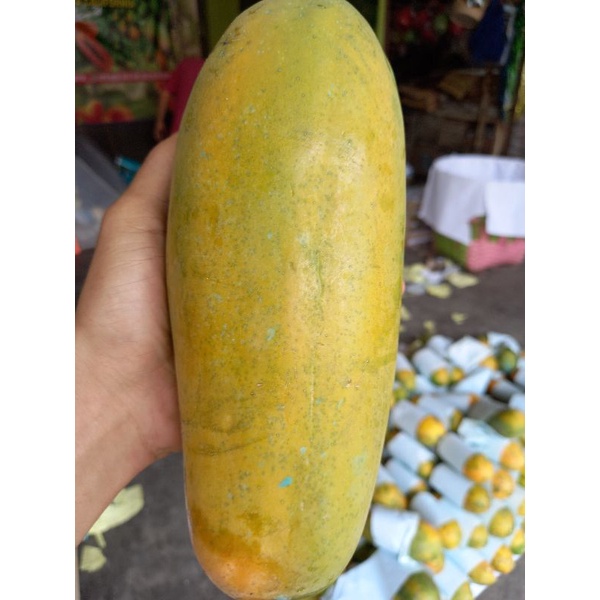 

pepaya kalifornia super