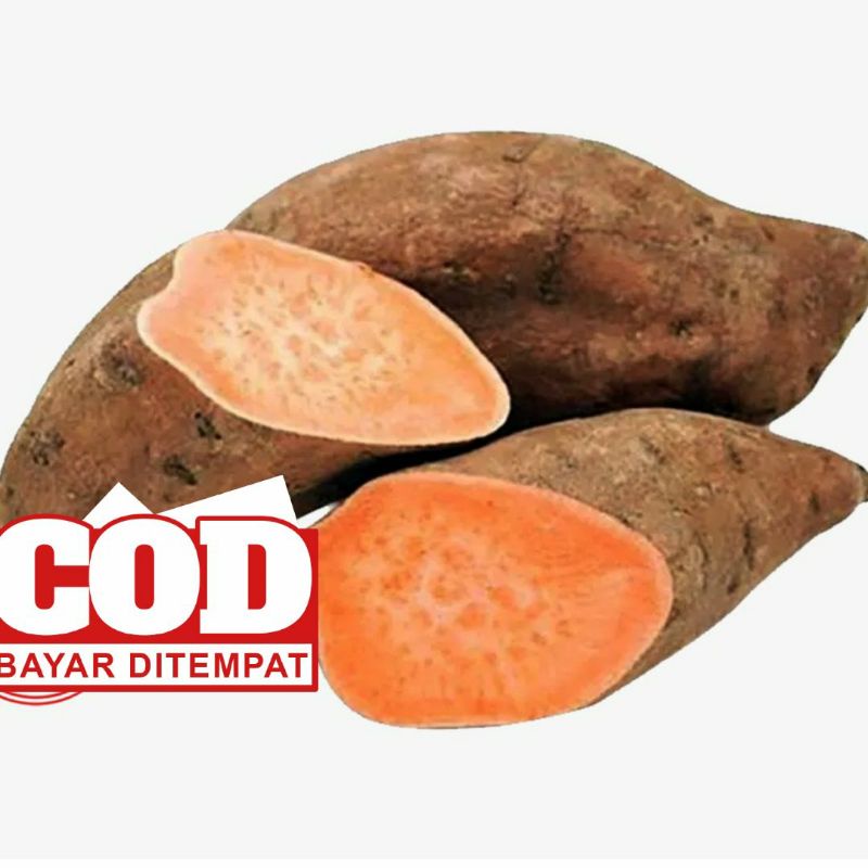 

UBI CILEMBU_UBI OREN 550 GRAM