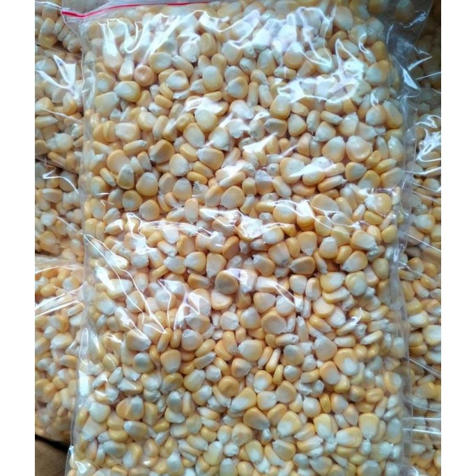 ready murah jagung manis pipil jagung jasuke jagung frozen