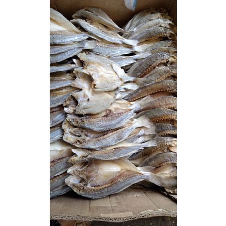 

ikan samge
