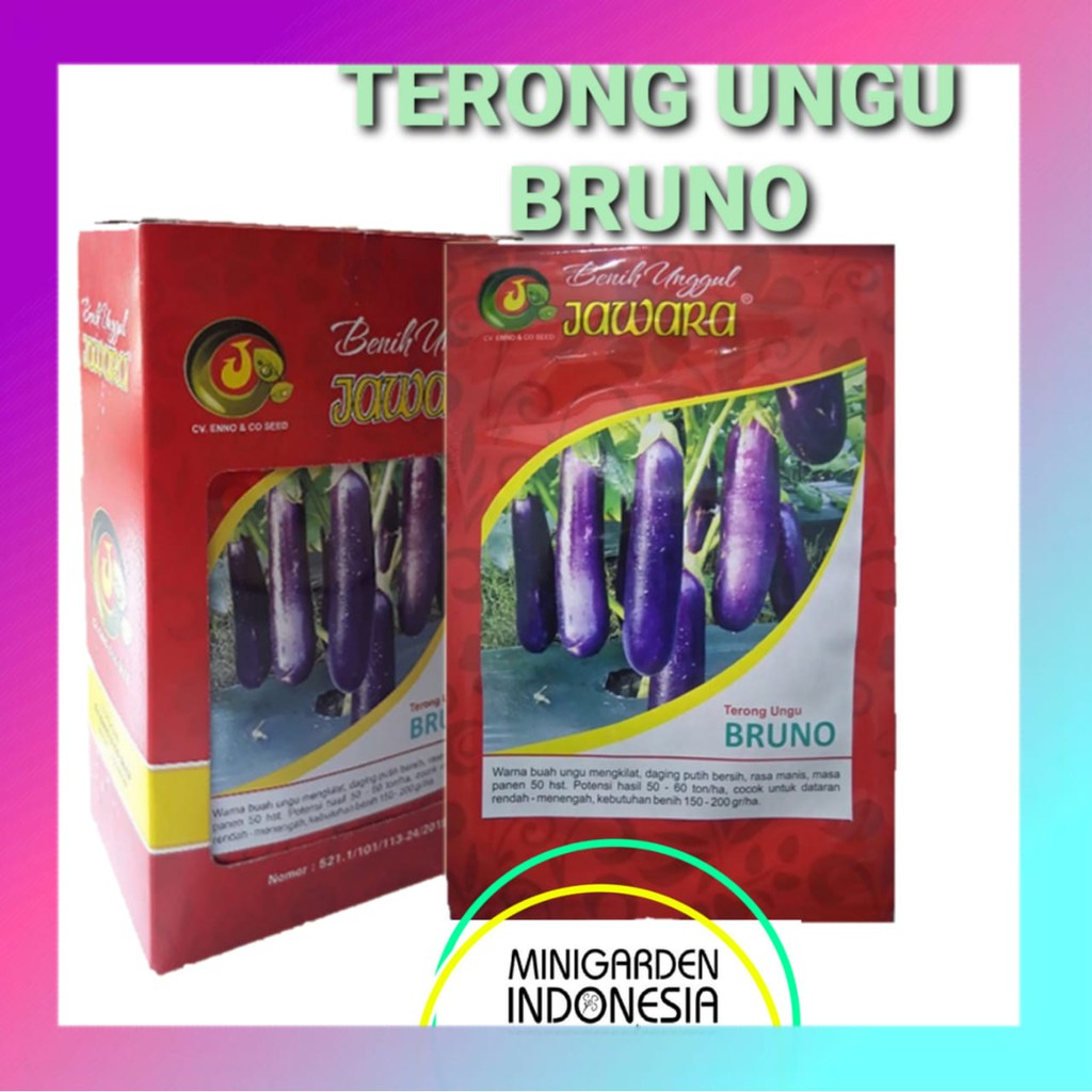 TERONG BRUNO PACK 10 GRAM Benih Terong Ungu BRUNO Jawara bibit tanaman sayur sayuran unggulan ± 2500 biji