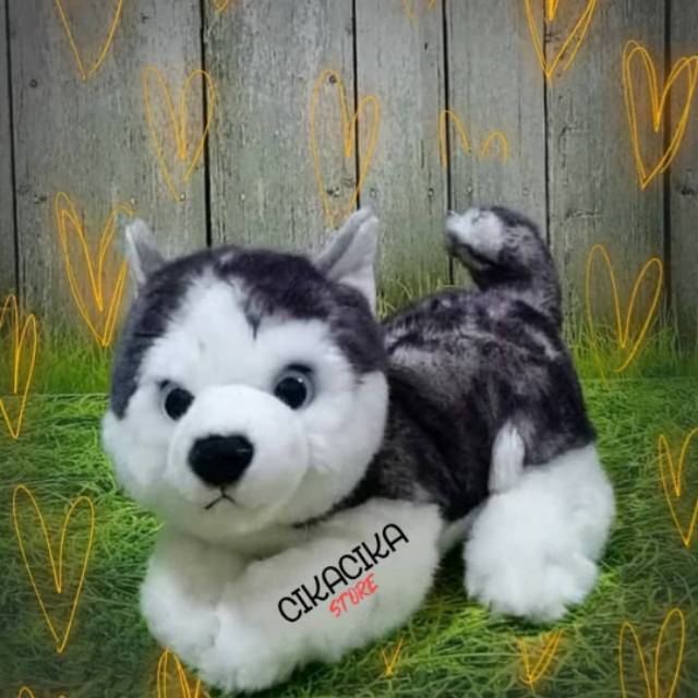 Boneka Husky