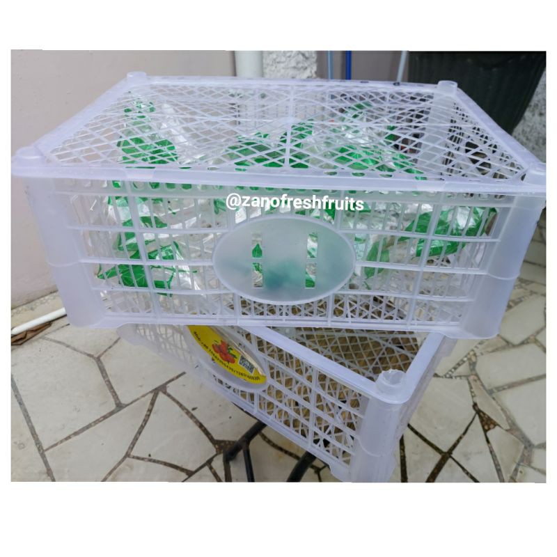 Keranjang plastik persegi bekas packing buah
