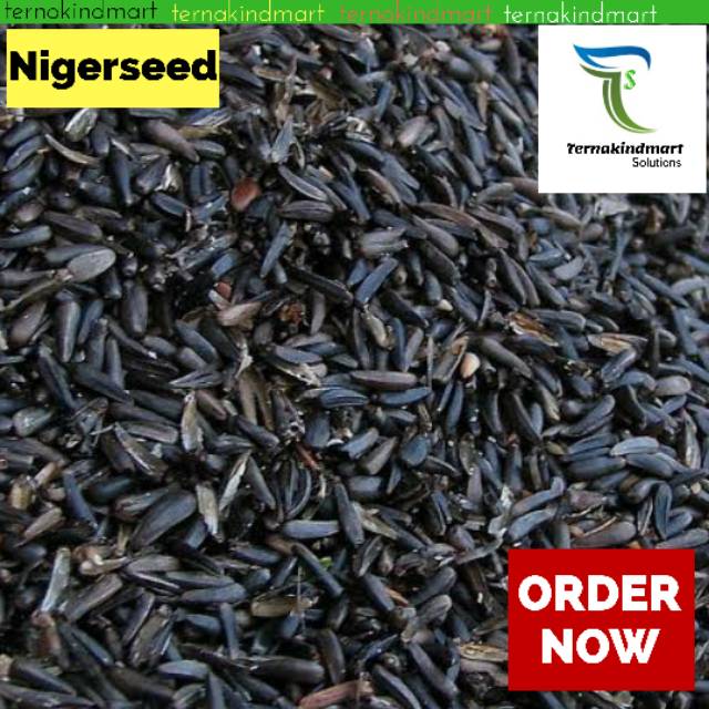 

Niger Seed - Biji Niger Seed Kenari