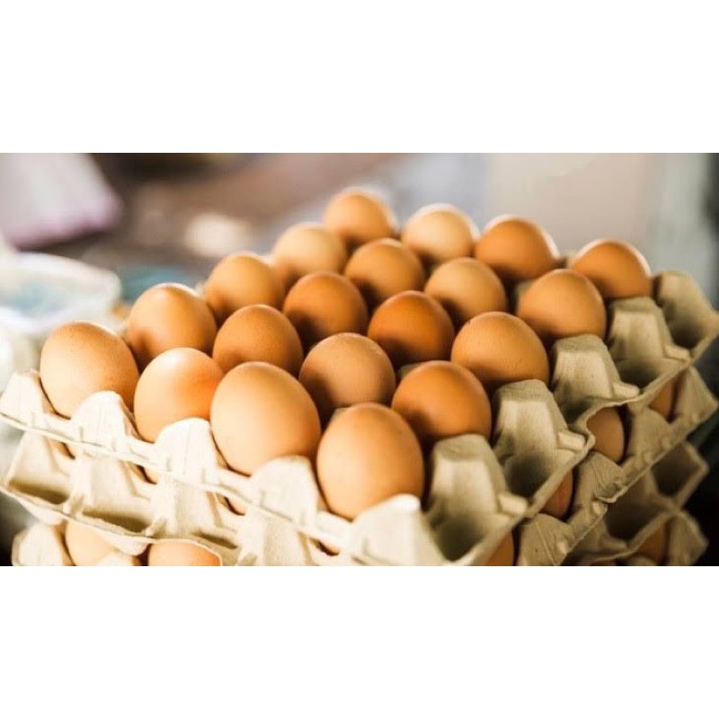 

Telur 1kg atau Grosir