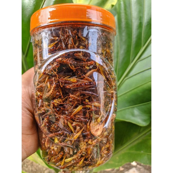 

paket hemat belalang goreng utis kemasan toples sosis jumbo