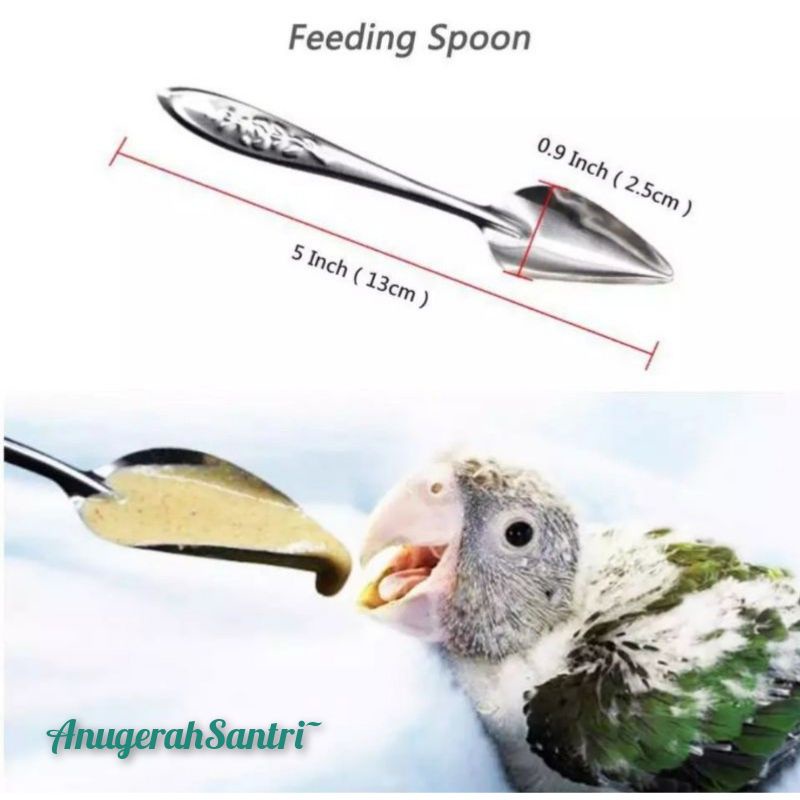Sendok Loloh Stainles Stell Untuk Semuaa Anak Burung | Lolohan { Bukan Spuit Suntikan }