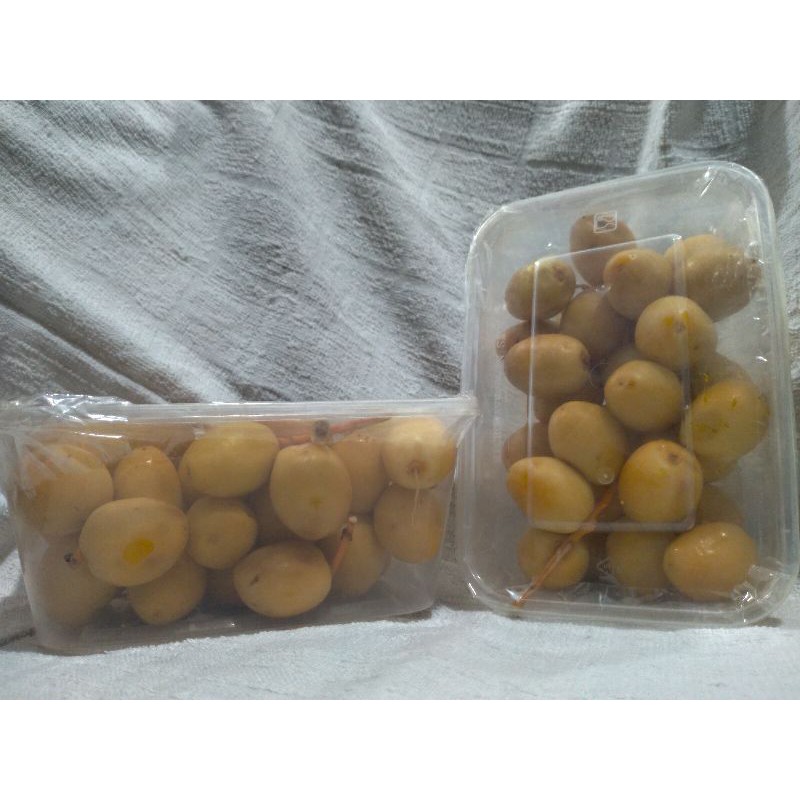 

KURMA MUDA ASLI