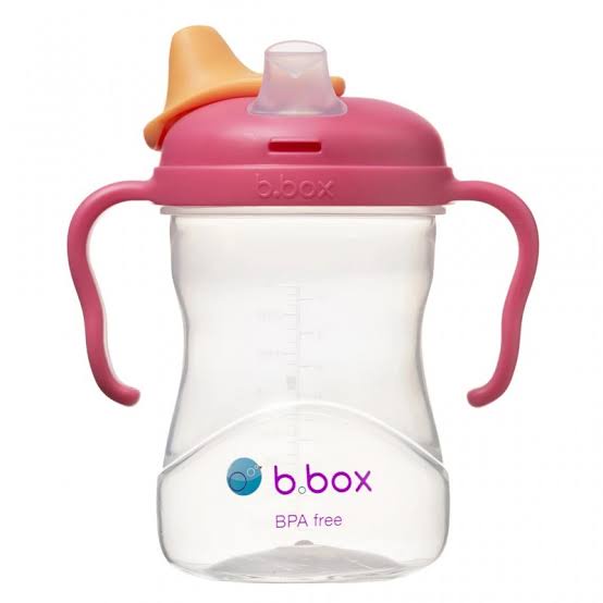 B.Box Spout Cup