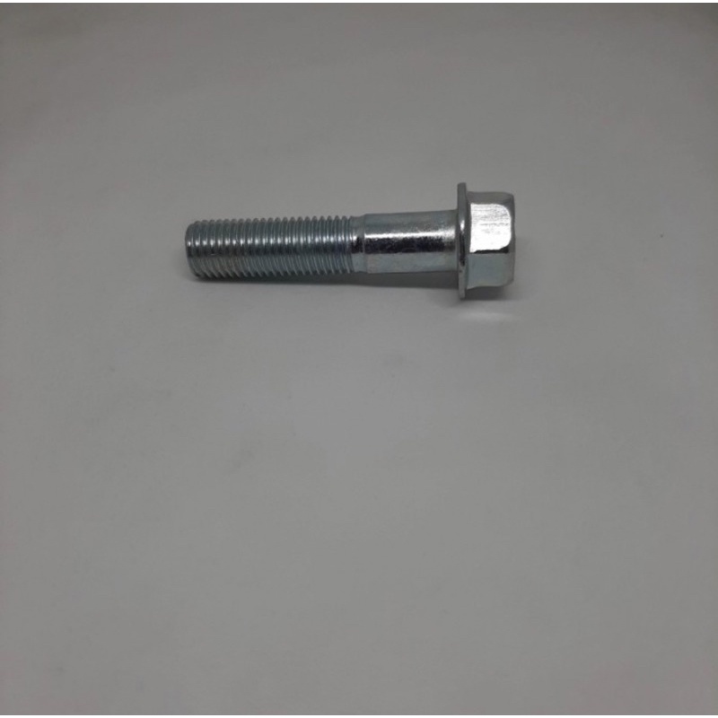 Flange bolt 10x45