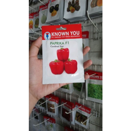 Benih paprika CARDINAL STAR F1