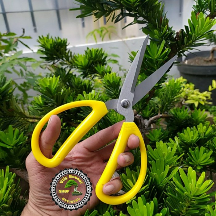 

Wof | GUNTING DAHAN RANTING HASTON STAINLESS STEEL Murah Baru