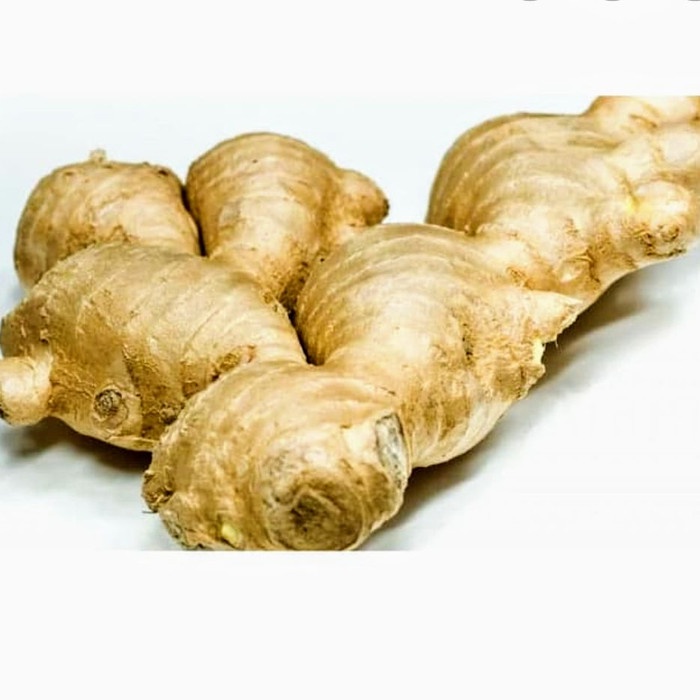

TRADISIONALMINUMAN- JAHE PUTIH -MINUMAN-TRADISIONAL.