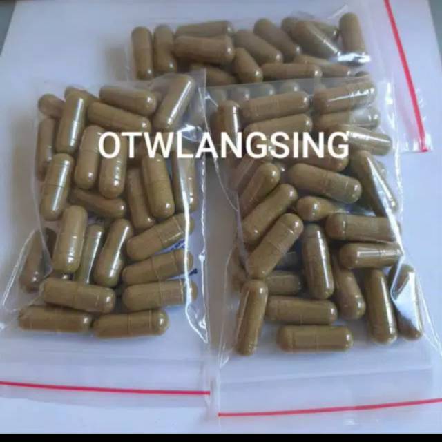 Pelangsing Pinky Kapsul Hijau Otwlangsing Fiber Booster Magic Mejik NR ODD ODH Slim Obat Diet dokter