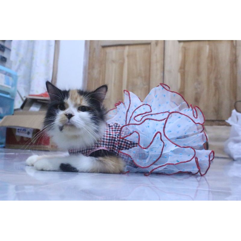 Dress tutu princess #364 lucu untuk kucing dan anjing / baju kucing murah size S M L XL