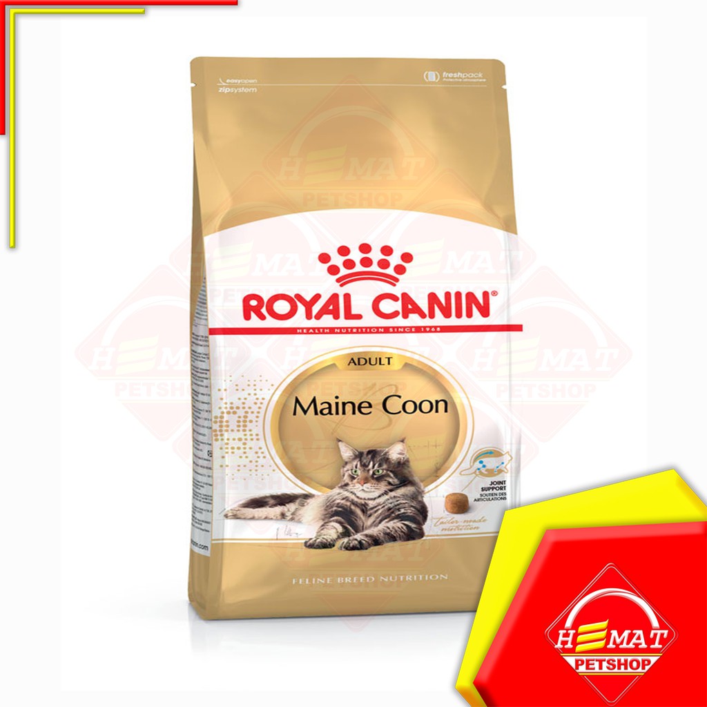 Royal Canin Adult Maine Coon 4Kg / Makanan Kucing Mainecoon adult 4 Kg