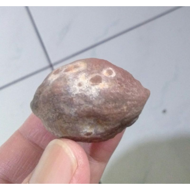 Kemiri Adu Muncang adu Jayanti Si Poek