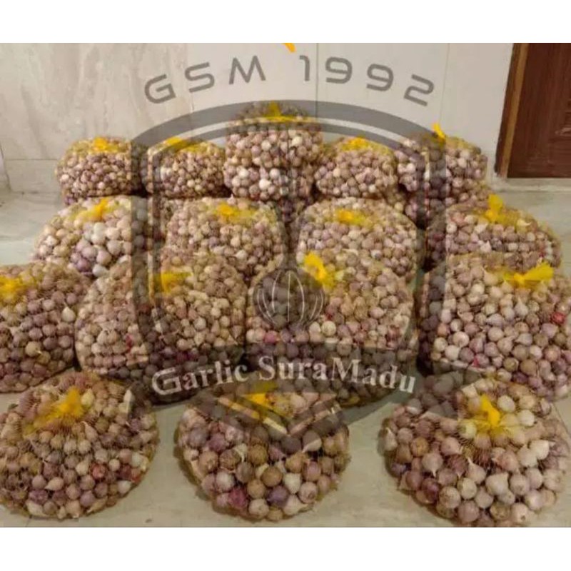 

Bawang Lanang/Tunggal Import 1000gram