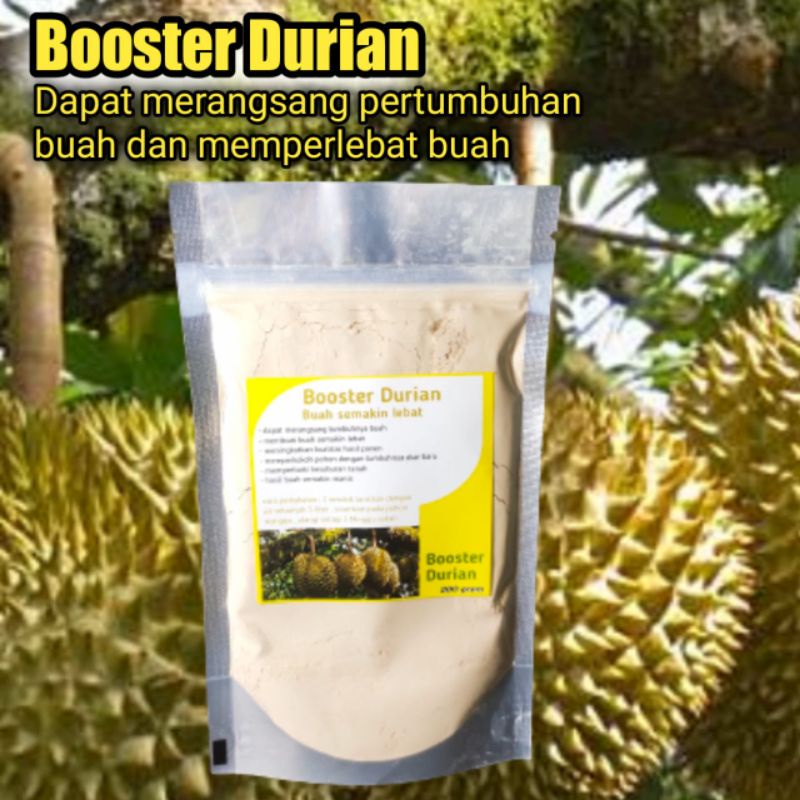 booster durian ,perangsang buah durian pupuk buah durian