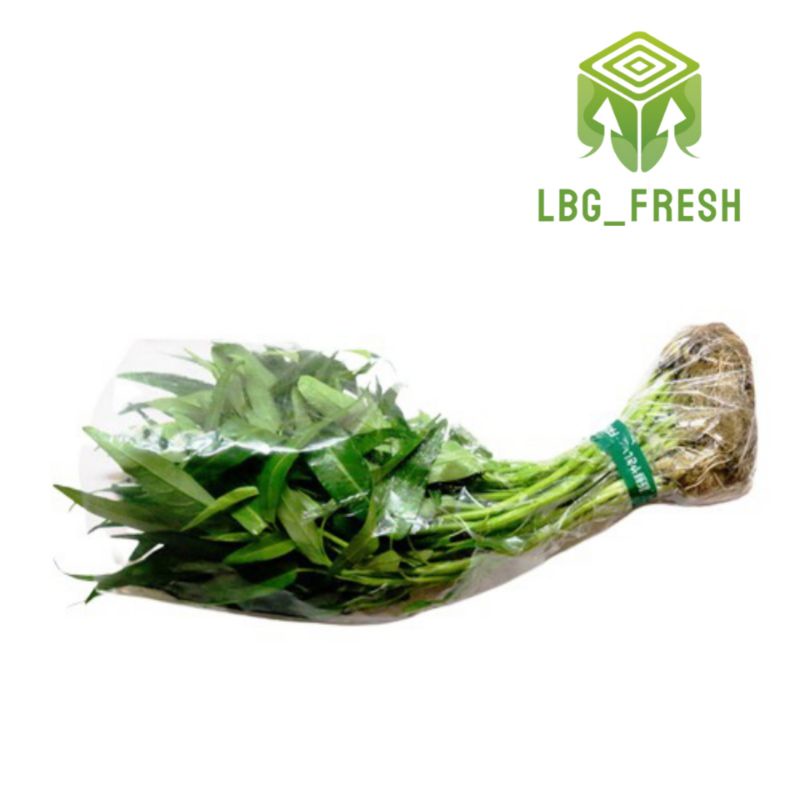 

Kangkung 500gr
