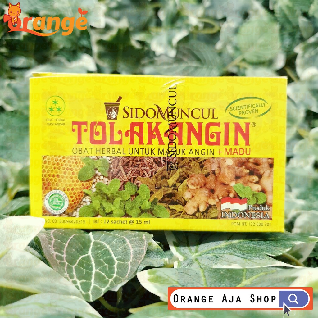 TOLAK ANGIN CAIR 12 SACHET
