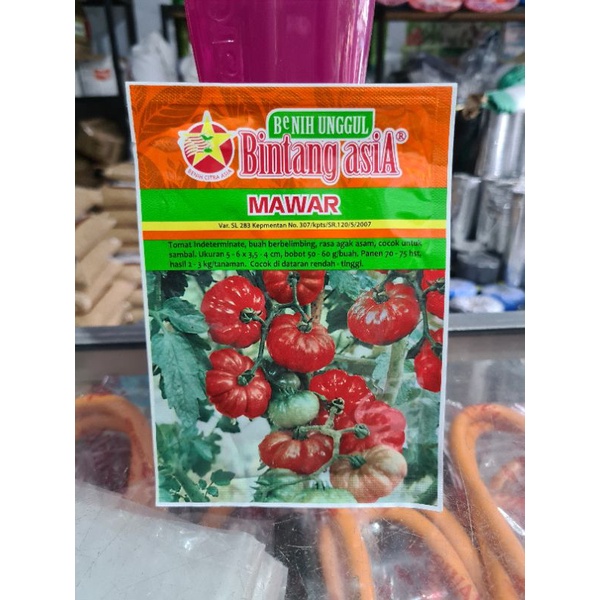 Benih Tomat MAWAR 10 Gram