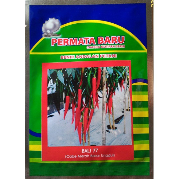 BIBIT CABE MERAH PANJANG