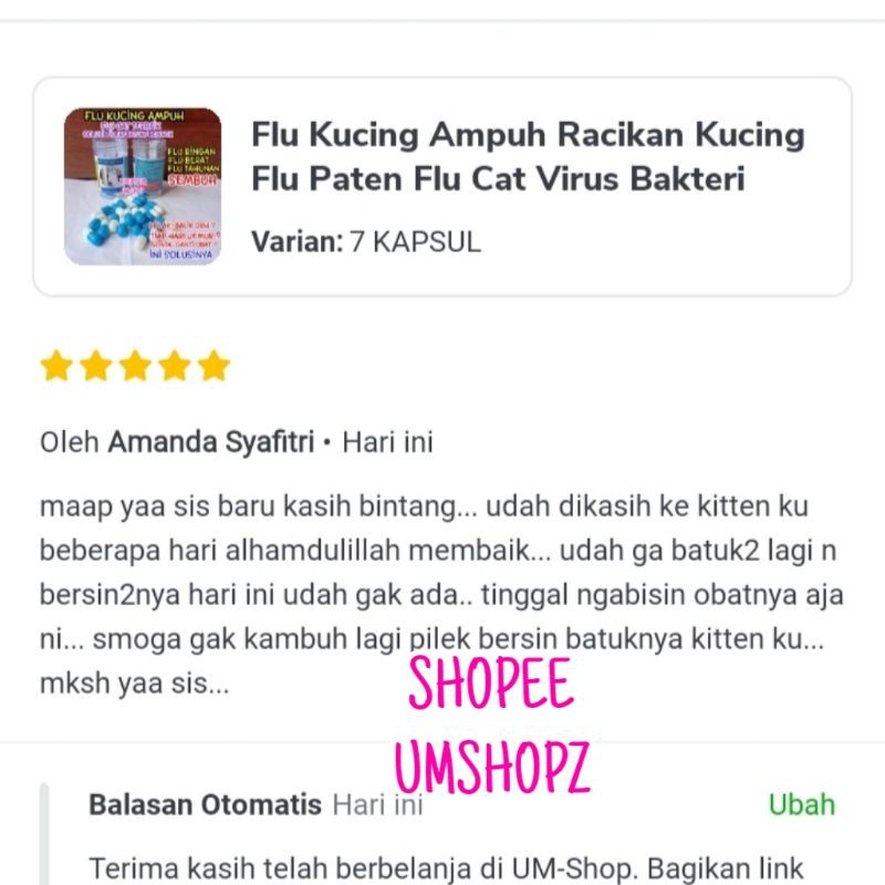 Flu Kucing Ampuh Paten Flu Care Kucing Flu Paten Flu Cat Virus Bakteri Kucing