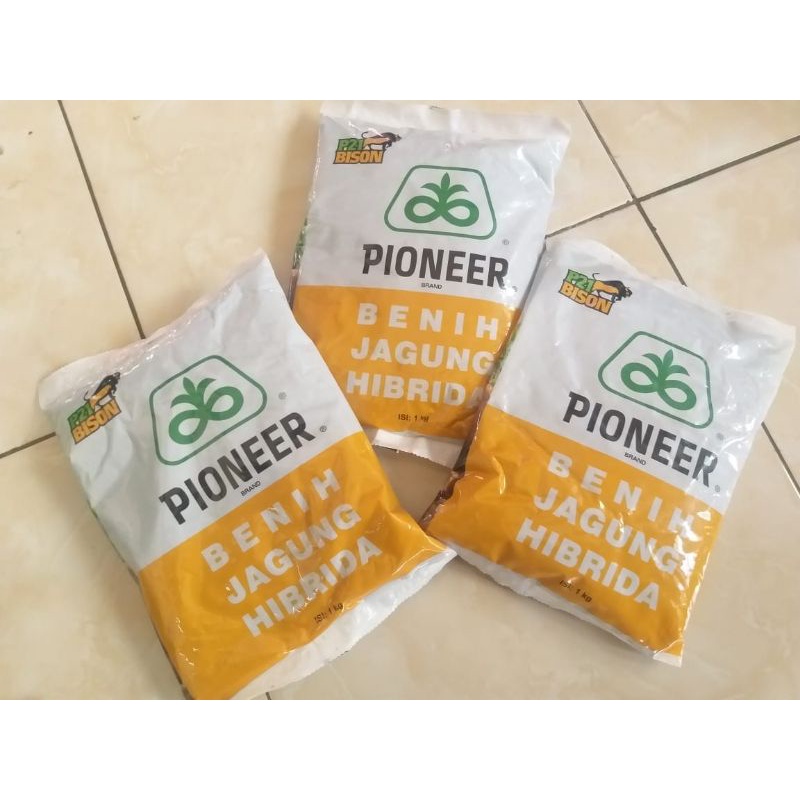 BENIH JAGUNG HIBRIDA  P21 BISON PIONEER