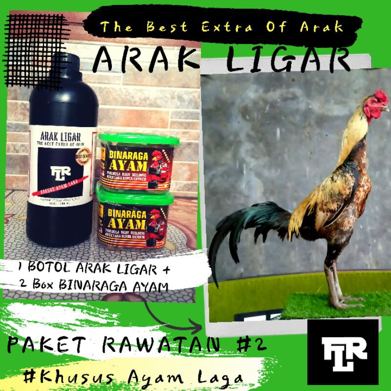 ARAK GOSOK - ARAK LIGAR + BINARAGA AYAM - RAWATAN 2